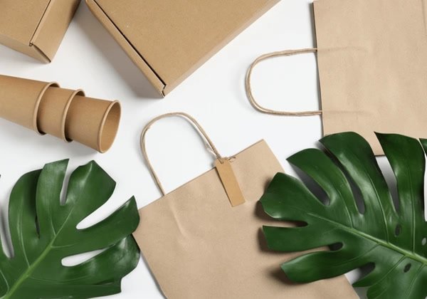Kraft cartons, paper bags and tubes arranged with monstera leaves